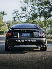 99-04 Ford Mustang SMOKED Taillight Tint Vinyl Overlays Dark Gloss NEW EDGE