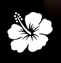 HIBISCUS HAWAIIAN FLOWER VINYL DECAL STICKER 3 Inch or 5 Inch