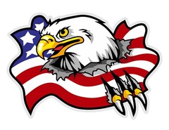 DecalMascot of Eagle that Breaking America Flag Sticker Vinyl 6Years+ Resistance