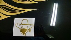 TRANS AM DECAL FIREBIRD GOLD AWESOME! 6.6 455 400 BANDIT BURT REYNOLDS FREE SHIP