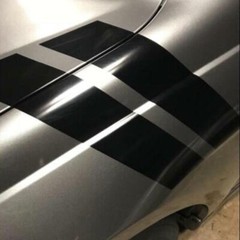 Car Truck SUV Universal Double Stripe Racing Graphic vinyl Side Sticker Decal