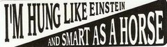 Motorcycle Sticker for Helmets or toolbox #609 I’m hung like einstein and smart