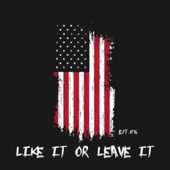 Trump ICE American Flag *Like it or Leave it* Grunge Patriot FJB Sticker Decal