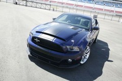 2010 – 2012 Ford Mustang 18″ & 21″ Snake Style Super Dealer Quality Stripes