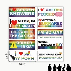 10-Pack Personalized Fun LGBT Bumper Stickers Colorful Magnetic Classic Style