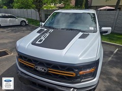 FITS 2021-2025 Ford F150 Platinum/Tremor Hood Stripe Vinyl Sticker Decal V2