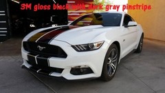 Ford MUSTANG 10″ DUEL Twin Vinyl Racing Stripes Decals 1/2″ Pinstriped 40 FEET