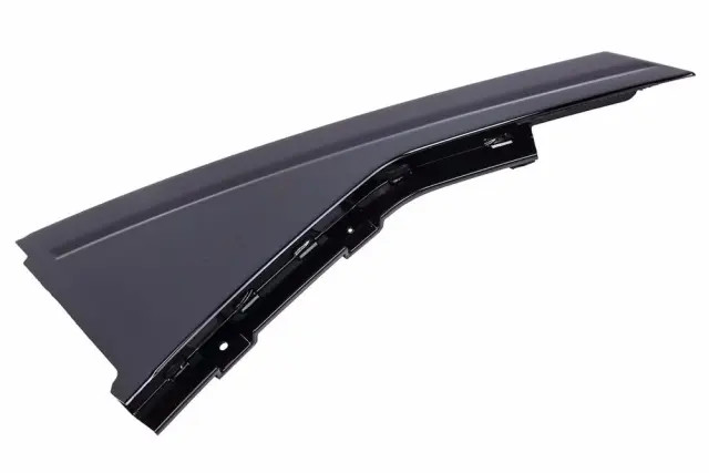 Genuine GM Rear Passenger Side Door Window Frame Rear Applique 84107679
