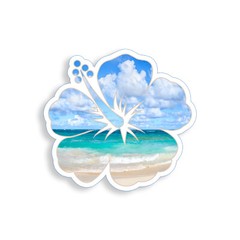 Hibiscus Flower Sticker Beach Ocean Cup Laptop Car Vehicle Window Bumper Decal