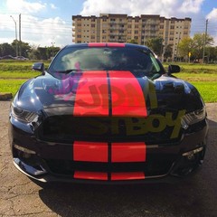3M 2080 Gloss Racing Stripes Vinyl Wrap Rally Decal Sticker Hood Roof 10FT/20FT