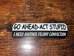 Motorcycle Sticker for Helmets or toolbox #689 Go Ahead act stupid