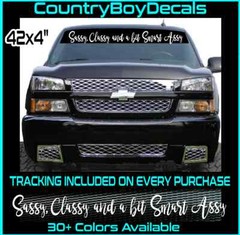 Sassy Classy and a bit Smart Assy VINYL DECAL 42″ Truck Car Princess Queen Girl