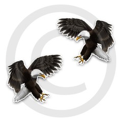 Eagle Stickers Decal ATTACKING BALD EAGLE adhesive vinyl 4 sizes available