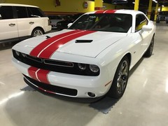 2015 2016 2017 2018 2019 2020 2021 Dodge Challenger RT Rally Racing Stripes