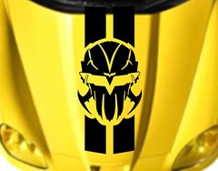 VETTATOR SKULL by Clausen’s World Car vinyl 2 Stripe 18″x42″ (Fits CORVETTE C6)