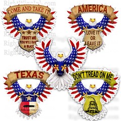 Come And Take It Texas FLAG BALD EAGLE USA 3M – RV DECAL