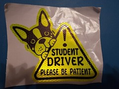 Student Driver Please Be Patient Car Sticker Dog Theme Free Shipping 6×6 In