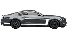 Racing Stripe Graphic Decal Sticker For Ford Mustang Coupe GT Shelby GT500 GT350