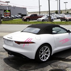 Reflective Claw Marks Car Decals – 16-Inch Die-Cut Stickers for Personalization