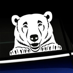 Peeking Bear Decal – You choose the color
