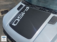 FITS 2021-2025 Ford F150 Platinum/Tremor Hood Stripe Vinyl Sticker Decal V2