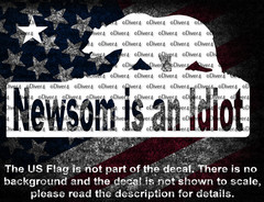 Newsom Is An Idiot California Bear Car Van Truck Vinyl Decal US Made US Seller