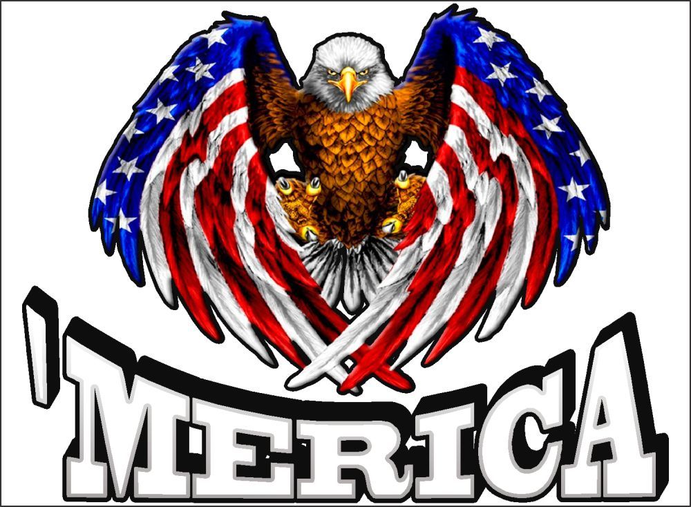 American Eagle ‘MERICA / 10″ Vinyl Vehicle Decal USA Sticker Laptop Skins