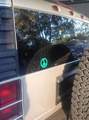 BOGO! Peace Sign 3″ Outdoor Vinyl Sticker. Free Ship. Black, Red, Green. Decal.