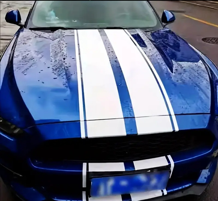 Ford Mustang Bonnet Stripes Graphics Any Year Any Model Decals Rally