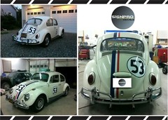 Herbie Stripes tricolored Hood Top Trunk Decals Srickers Graphics