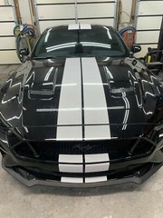 7.5″ Plain Rally stripes Graphics FIT 2015 – 2021 Mustang FDC/3M Vinyl