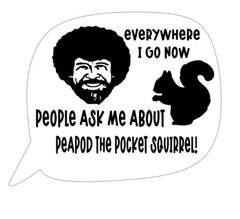 B. Ross style parody Quotes sticker-Joy Of, Painter-Peapod Pocket Squirrel 6×5!