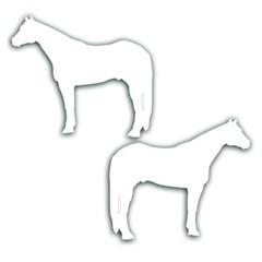 Reflective Decal Sticker 2 Quarter Horse for tack box truck or 4h trailer in WT
