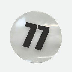 Pair of 12″ Magnetic Race Car Number 77 Circular Magnet