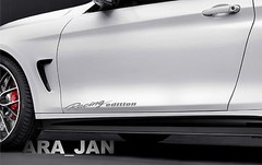 RACING EDITION Vinyl Decal sport door sticker SILVER logo