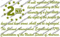 The Second Amendment,12″x7.5″,Gun Rights,Molon Labe,We The People,Vinyl Decal