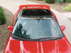 fits 93-02 Trans Am Windshield Banner Decal 93 94 95 96 97 98 99 00 01 02 TA