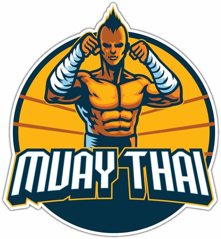 Muay Thai Mixed Martial Arts MMA Fighter Car Bumper Vinyl Sticker Decal 4″X5″