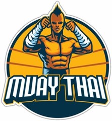 Muay Thai Mixed Martial Arts MMA Fighter Car Bumper Vinyl Sticker Decal 4″X5″