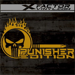 Flaming Skull Punishment Limited Edition Dicut Decal 2 Sizes FREE SHIPPING