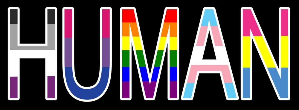 HUMAN – PRIDE DECAL, 5YR VINYL, JC