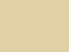 3M 7125 Scotchcal Fawn 99 Vinyl Film Sign Craft Hobby Decal Sheet Roll