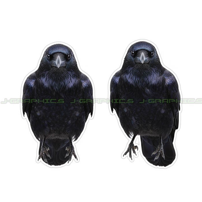 Black Crow Raven Vinyl Decal Sticker Bird 2 Pack A