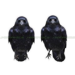 Black Crow Raven Vinyl Decal Sticker Bird 2 Pack A
