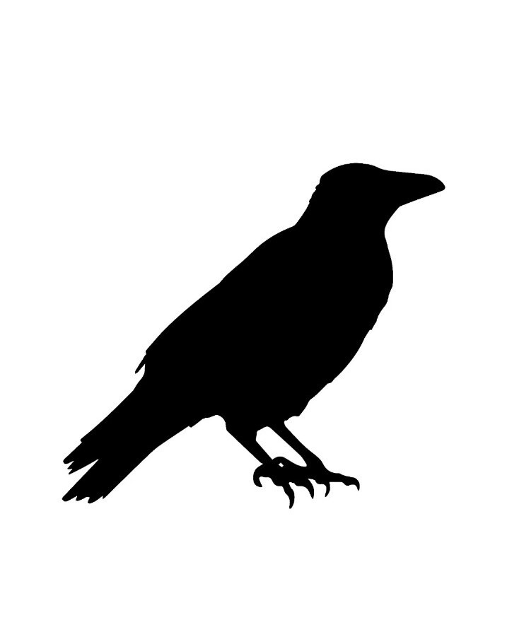 Crow Raven Black Bird Vinyl Decal Sticker you choose size and color