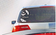 5 Count Exterior Decal Dream Feathers for Cars Trucks AUTO DRIVE (Made in USA)
