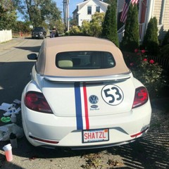 AUTH HERBIE THE LOVE BUG DECAL STICKER KIT ORIGINAL