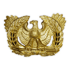 Army Warrant Officer Eagle Sticker Military Vinyl Soldier Decal 5″