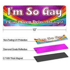 Im so Gay I Cant Even Drive Straight -Reflective Car Auto Bumper Magnet -Hilario