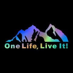One Life Live It Mountain Decal Sticker Vinyl Auto Car Truck Camper Van Window